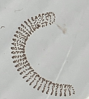 Afbeeldingslocatie: https://tweakers.net/i/g4NMUX-joVziCRJe-H9vGgO5c_M=/full-fit-in/4000x4000/filters:no_upscale():fill(white):strip_exif()/f/image/RJYLpMgnfcQwN7F8ckGDXAss.png?f=user_large