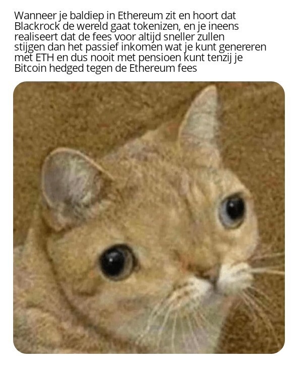 Afbeeldingslocatie: https://tweakers.net/i/g7vtVlrCh_Jau6JmJ55s5pi-OkE=/full-fit-in/4920x3264/filters:max_bytes(3145728):no_upscale():strip_icc():fill(white):strip_exif()/f/image/Ha4FYIG4Cd0iVWRUko0E1jdZ.jpg?f=user_large