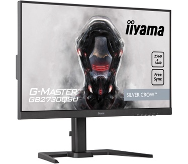 Iiyama G-Master G-MASTER Zwart