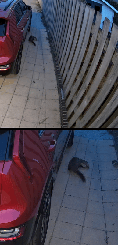Afbeeldingslocatie: https://tweakers.net/i/g8MHP7C0Kg2dqrdsiK-VQpLO0r0=/x800/filters:strip_exif()/f/image/IhRG8C6EvibXW0KNRBcDjcld.png?f=fotoalbum_large