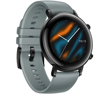 Huawei Watch GT 2 (42mm) Zwart (Blauw)