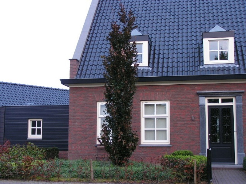 Afbeeldingslocatie: https://tweakers.net/i/g95cpjXD8kmigzuEY3lnLQgc9OQ=/800x/filters:strip_icc():strip_exif()/f/image/WmLn99aKYNk9rX4bVbimU4au.jpg?f=fotoalbum_large