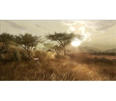 Far Cry 2, PC (Windows)