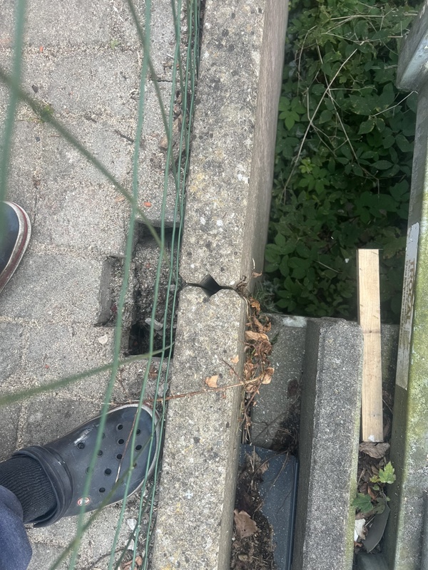 Afbeeldingslocatie: https://tweakers.net/i/gD1Bh4l9sJoRLholxj33vdpbqSE=/x800/filters:strip_icc():strip_exif()/f/image/mocOTtkx0N8CjT3maZ7Od0tA.jpg?f=fotoalbum_large