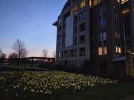 Cameratest Xiaomi 17 - Primair (nacht)