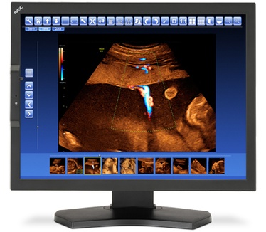NEC MD210C2