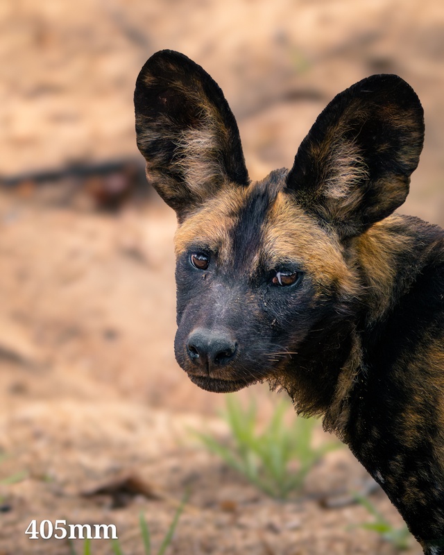 Afbeeldingslocatie: https://tweakers.net/i/gGMR27Tz1FxRbxuhJhtR7gCh0fc=/x800/filters:strip_icc():strip_exif()/f/image/f4S9UIjB5DRABcplYxr3Zq2g.jpg?f=fotoalbum_large