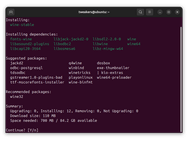 Ubuntu 24.10 Apt 3.0