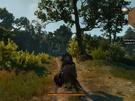 The Witcher 3 Wild Hunt