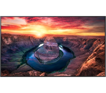 Samsung 50" Quantum Processor 4K Signage QMB