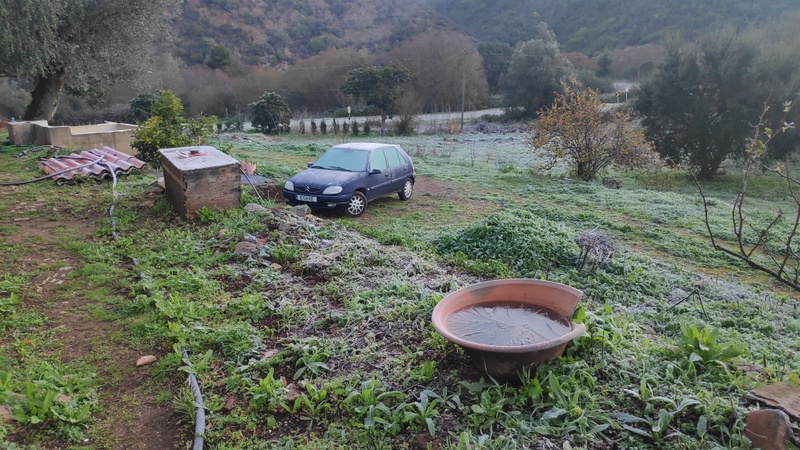 Afbeeldingslocatie: https://tweakers.net/i/gP_KC1bXlRX0BD9vD1vTFUu549Q=/800x/filters:strip_icc():strip_exif()/f/image/dnFFkP9kY1y9TObiXgOpEBlH.jpg?f=fotoalbum_large