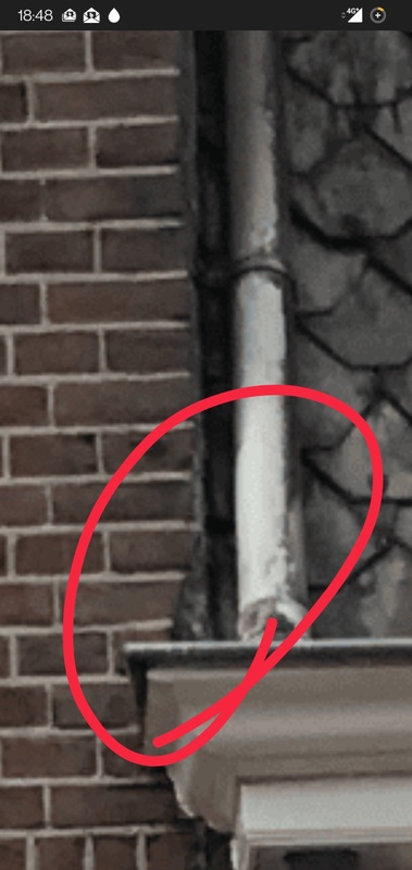 Afbeeldingslocatie: https://tweakers.net/i/gQIQYB0yRMx33aYSnSOV6yiqXV0=/x800/filters:strip_icc():strip_exif()/f/image/wd8v8VYyWRs1TwOY0VyQjMhU.jpg?f=fotoalbum_large