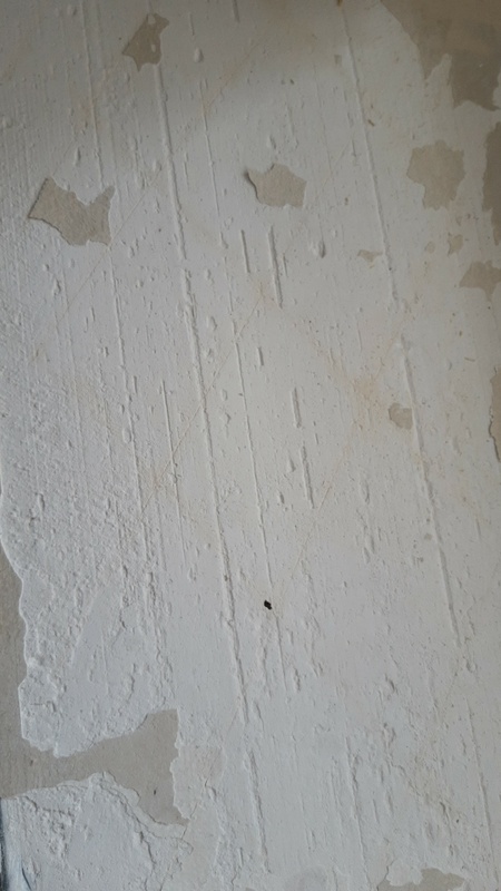 Afbeeldingslocatie: https://tweakers.net/i/gR-LuBh7w08u5PG7Ss5ZV5n_Ee8=/x800/filters:strip_icc():strip_exif()/f/image/MVGYBk1L04apSbGEaRi8h5B1.jpg?f=fotoalbum_large