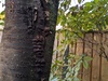 Afbeeldingslocatie: https://tweakers.net/i/gReta0aXcywXlv7B2xadXpeDEjc=/100x75/filters:strip_icc():strip_exif()/f/image/hEApZLWviOkyXSHMSoPnFPhU.jpg?f=fotoalbum_small
