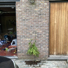 Afbeeldingslocatie: https://tweakers.net/i/gS1YXhNu2meiLp6S2CJy7btaKPY=/232x232/filters:strip_icc():strip_exif()/f/image/xVssLEjPbCL0dWLC2Kx46lNu.jpg?f=fotoalbum_tile