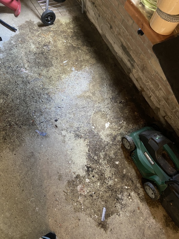 Afbeeldingslocatie: https://tweakers.net/i/gTL9rBO5EK4CUEk3QgvpAXYNhzU=/x800/filters:strip_icc():strip_exif()/f/image/uIL6UmhBtixEWyesCoetWN1G.jpg?f=fotoalbum_large