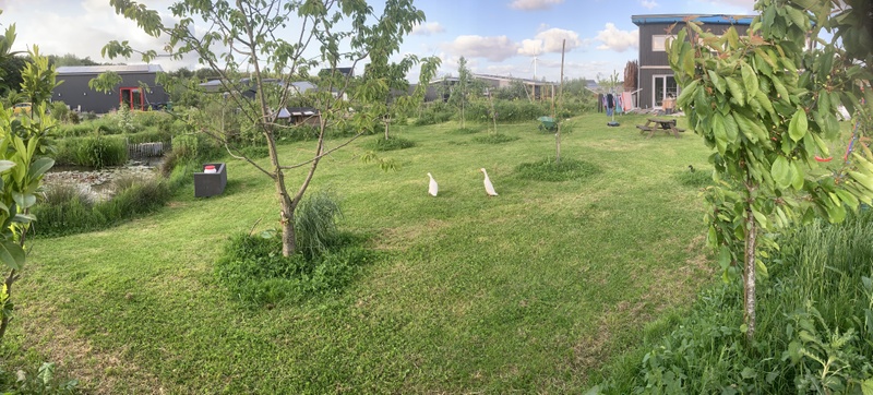 Afbeeldingslocatie: https://tweakers.net/i/gTMqoiSStw92kD9ncg0S-8QNnns=/800x/filters:strip_icc():strip_exif()/f/image/Avpc4lx0S1EFnGsxTYaYX4Jj.jpg?f=fotoalbum_large