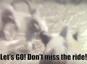 Afbeeldingslocatie: https://tweakers.net/i/gTTH65RNfvjQv2dOh_MCn1ZMHA4=/full-fit-in/4000x4000/filters:no_upscale():fill(white):gifsicle():strip_exif()/f/image/AnCXoiHCi8T4wWwSaKJ0JabS.gif?f=user_large