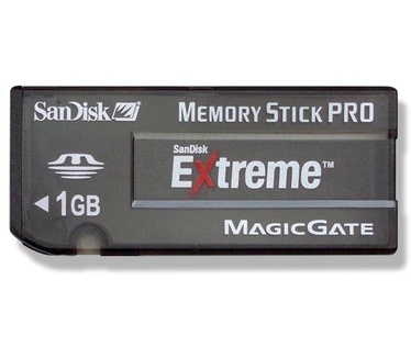 Sandisk Extreme SDMSPH1024