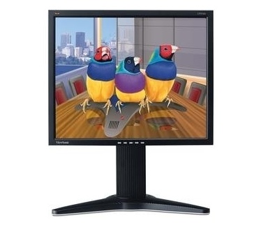 ViewSonic VP950B
