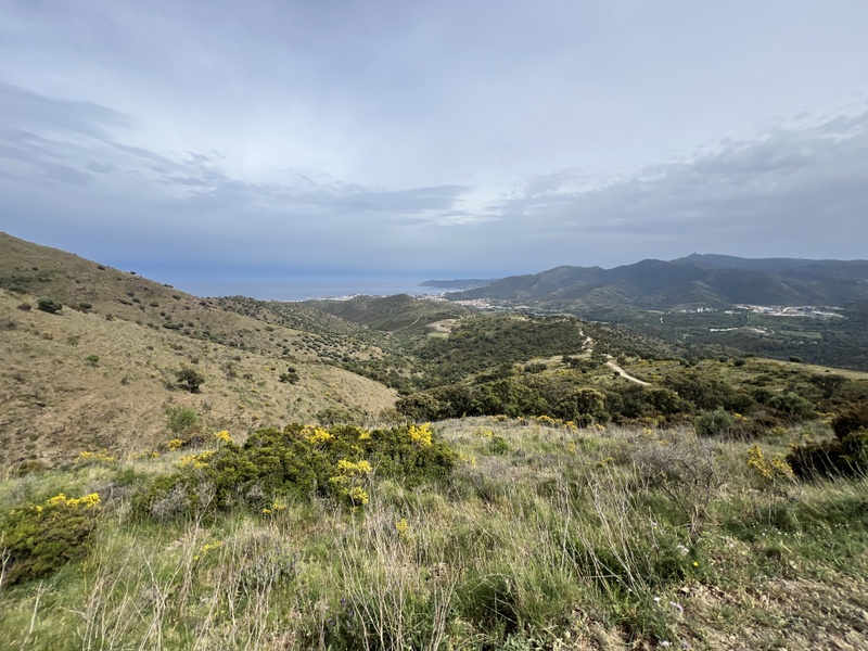 Afbeeldingslocatie: https://tweakers.net/i/gYvYDmbTbcijaz4ifkMM8tWv-ng=/800x/filters:strip_icc():strip_exif()/f/image/w0qPc75bRH8PoLahmNWhel4x.jpg?f=fotoalbum_large