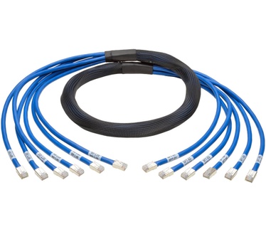Tripp-Lite Cat6/Cat6a, 6ft Blauw