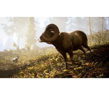 Hunting Simulator 3