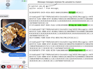 Door Google ontdekte iOS-malware die toegang geeft tot iPhones