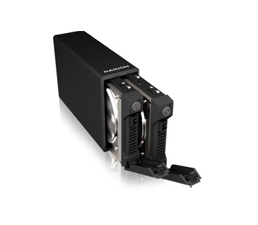 Raidon SafeTANK GR3660-B3 Zwart