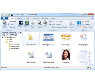 WinZip 16 screenshot (481 pix)