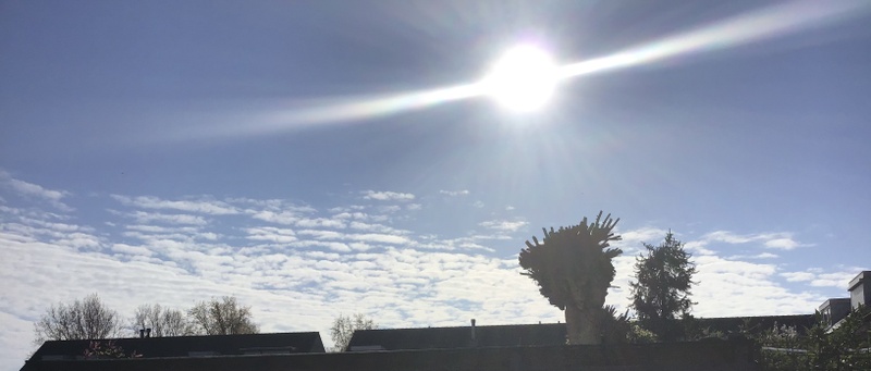 Afbeeldingslocatie: https://tweakers.net/i/gbem7a_nYg3l88bPRX_6ixT701c=/800x/filters:strip_icc():strip_exif()/f/image/UjRMVXcecHSMKME6930acNa3.jpg?f=fotoalbum_large