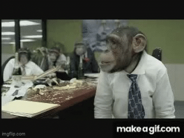 Afbeeldingslocatie: https://tweakers.net/i/gcFAC-NM41QOuEEXP7Xs0dT82-0=/fit-in/4000x4000/filters:no_upscale():gifsicle():strip_exif()/f/image/jh9ymQeTdTd5tJL2EtjgJN6Q.gif?f=user_large