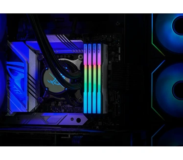 Klevv 32 GB DDR5-6200 (2x 16 GB) Kit werkgeheugen