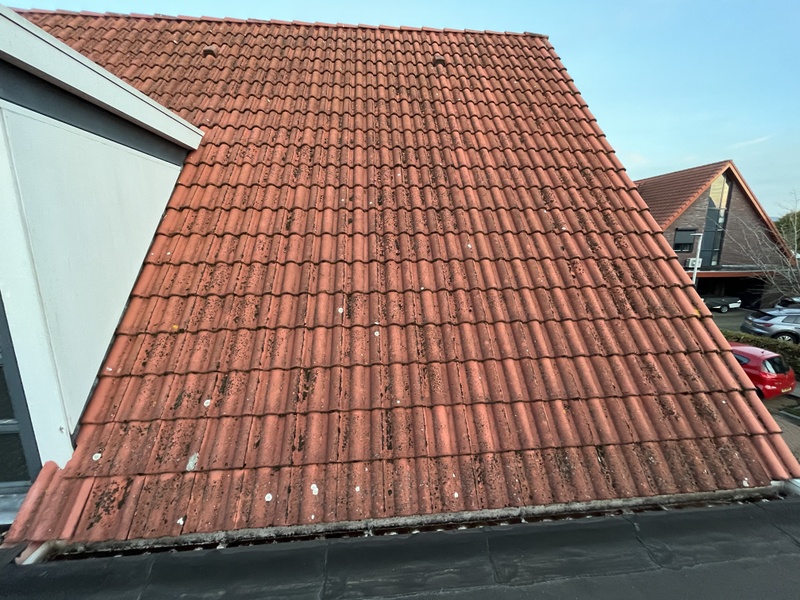 Afbeeldingslocatie: https://tweakers.net/i/ggZLUCxbM2Tp0kOWE1SjevAwA3A=/800x/filters:strip_icc():strip_exif()/f/image/Kro4PBpl1KnLe3zrZcOk74IB.jpg?f=fotoalbum_large