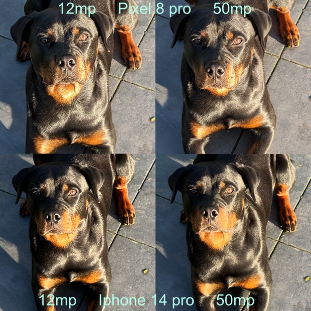 https://tweakers.net/i/ggdjBg5CTLSGVRX0uMwWccl16rU=/620x/filters:strip_icc():strip_exif()/m/459792/1QS0KaSltmmbiEyAxtc0S51OMDDInhrfqR2aptUrXBIZvAViyQ.jpeg?f=620xauto