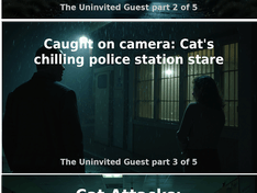 Afbeeldingslocatie: https://tweakers.net/i/gks0mGpUJJG9u2aMEktDXqfEhA4=/234x176/filters:strip_exif()/f/image/Sx69WyKhcptqJNTtxjcKFNcX.png?f=fotoalbum_medium