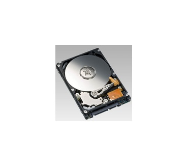 MicroStorage 160GB 2.5" SATA