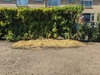 Afbeeldingslocatie: https://tweakers.net/i/gs1Cvrqo_oqWby-jUx8pyc4SDnQ=/100x75/filters:strip_icc():strip_exif()/f/image/gL0QySIlIuM7gaIbDnGNMjah.jpg?f=fotoalbum_small