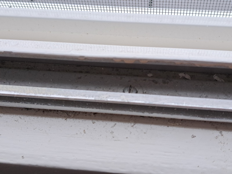 Afbeeldingslocatie: https://tweakers.net/i/gtXxrKm4JPwETlMElT1dlvLhSMY=/800x/filters:strip_icc():strip_exif()/f/image/c8kUw4hFQDi6K2PTGie1YrH7.jpg?f=fotoalbum_large