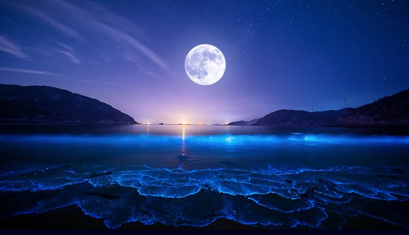 Afbeeldingslocatie: https://tweakers.net/i/gtitfFDRQjOAK9gCQXICp_YjQhI=/800x/filters:strip_icc():strip_exif()/f/image/voB7w3JiTbDPfS9ICxwyGHmK.jpg?f=fotoalbum_large