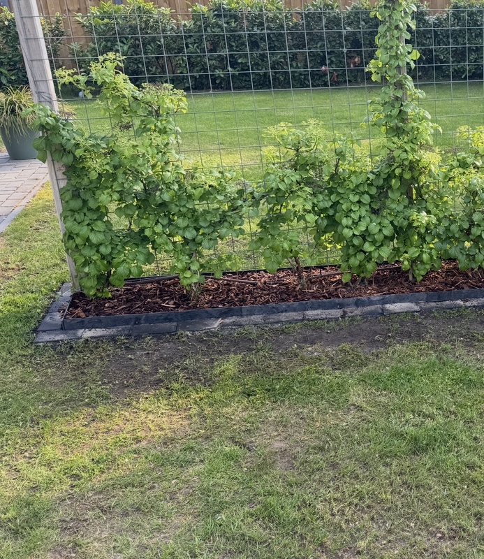 Afbeeldingslocatie: https://tweakers.net/i/gujhhHxlEZhRU0cKadKofD69IA4=/x800/filters:strip_icc():strip_exif()/f/image/RWfpoJgOzFxTZ8PczsPEyLAR.jpg?f=fotoalbum_large