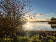 OnePlus 15 cameratest - Hoofdcamera overdag