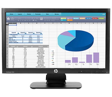 HP ProDisplay P202