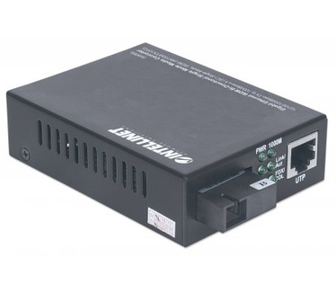 Intellinet 545068