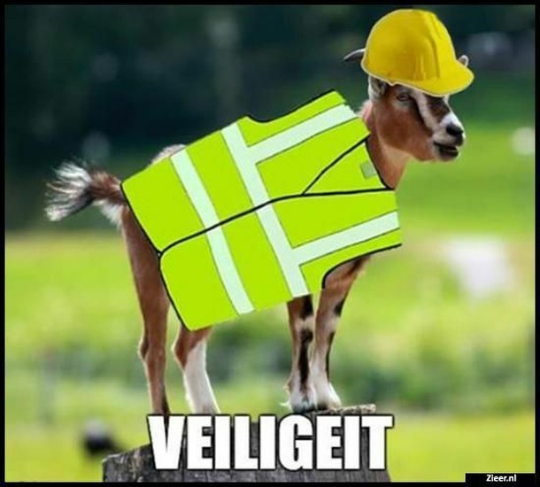 Afbeeldingslocatie: https://tweakers.net/i/h864TOxySOIaK80YsFUbsYzVJLw=/full-fit-in/4920x3264/filters:max_bytes(3145728):no_upscale():strip_icc():fill(white):strip_exif()/f/image/6OKiW8gBzEgRoB7NTFi0hFJ5.jpg?f=user_large