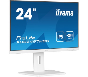 Iiyama ProLite XUB2497HSN-W2 Zwart