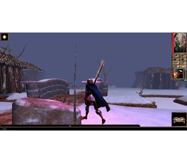 Neverwinter Nights - Enhanced Edition Collector's Pack, PS4