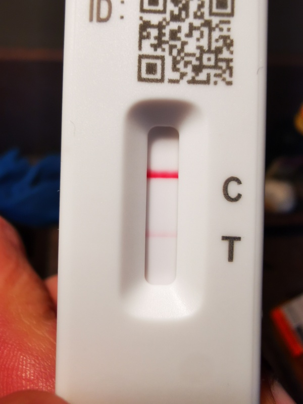 Afbeeldingslocatie: https://tweakers.net/i/hB5UMlMKAND60HdF_TRDDyyqjRE=/x800/filters:strip_icc():strip_exif()/f/image/s1WIa6SSqLgUR9EANubfCtiW.jpg?f=fotoalbum_large