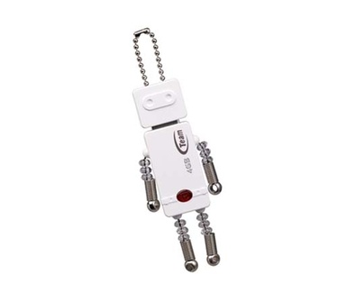 Team Group T-bot 4GB