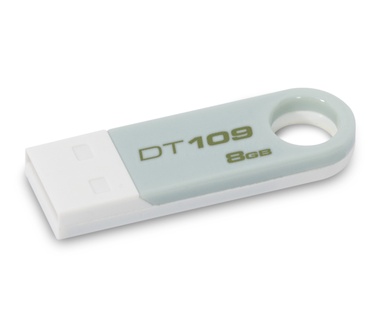 Kingston DataTraveler 109 Zilver